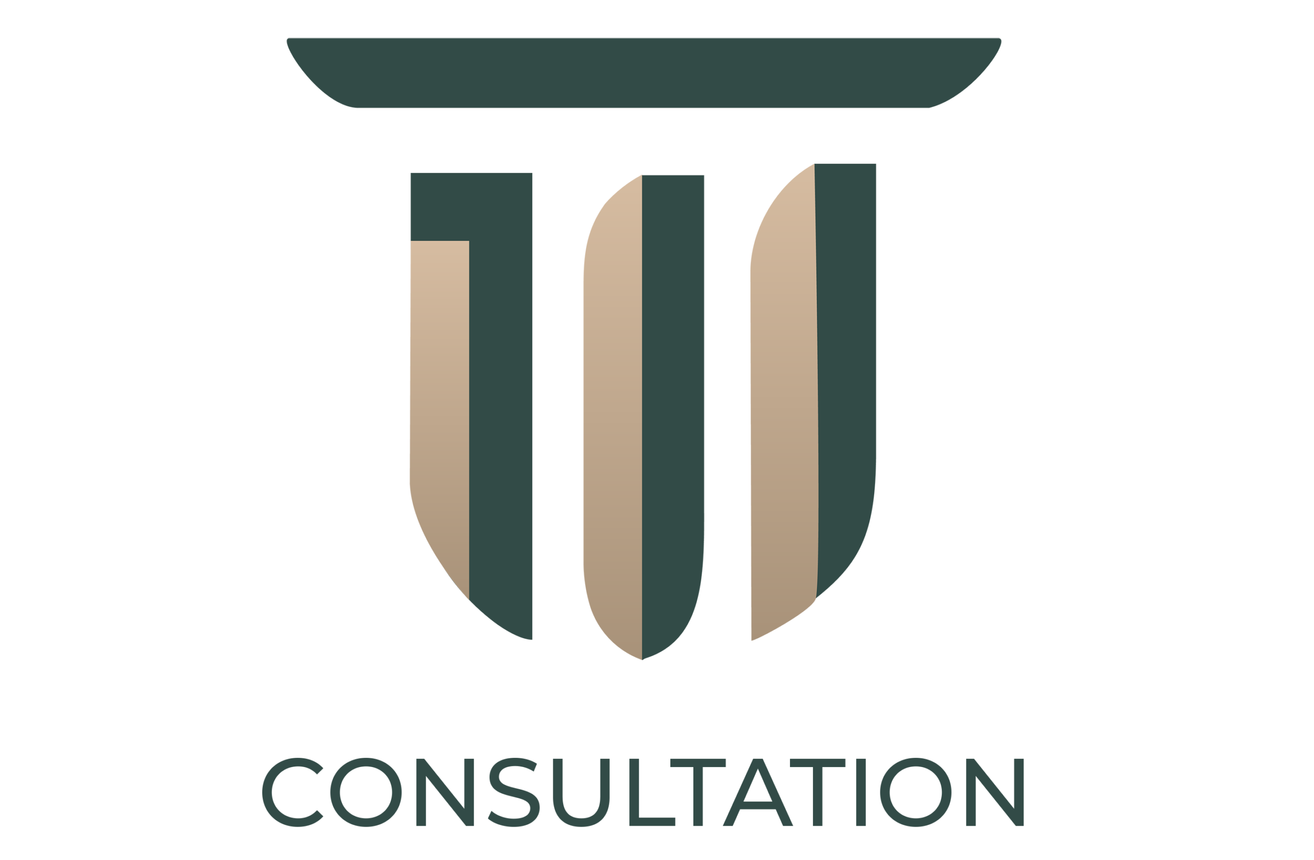 Tilleo Group - Step 1 - Consultation