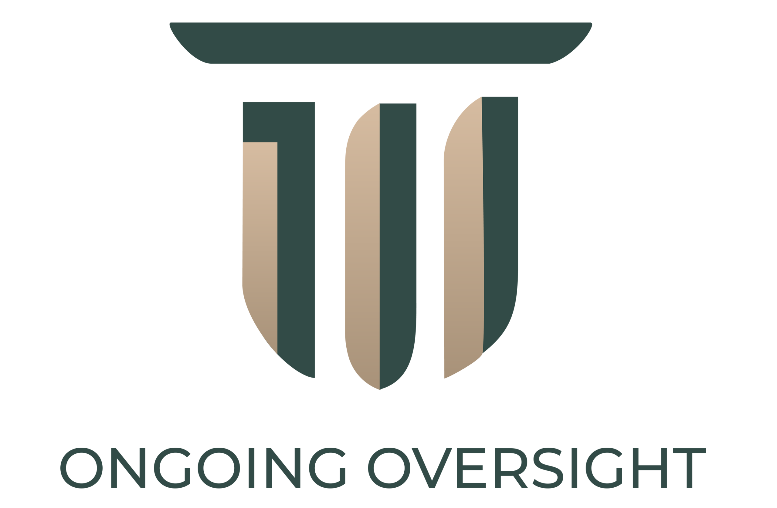 Tilleo Group - Step 3 - Ongoing Oversight