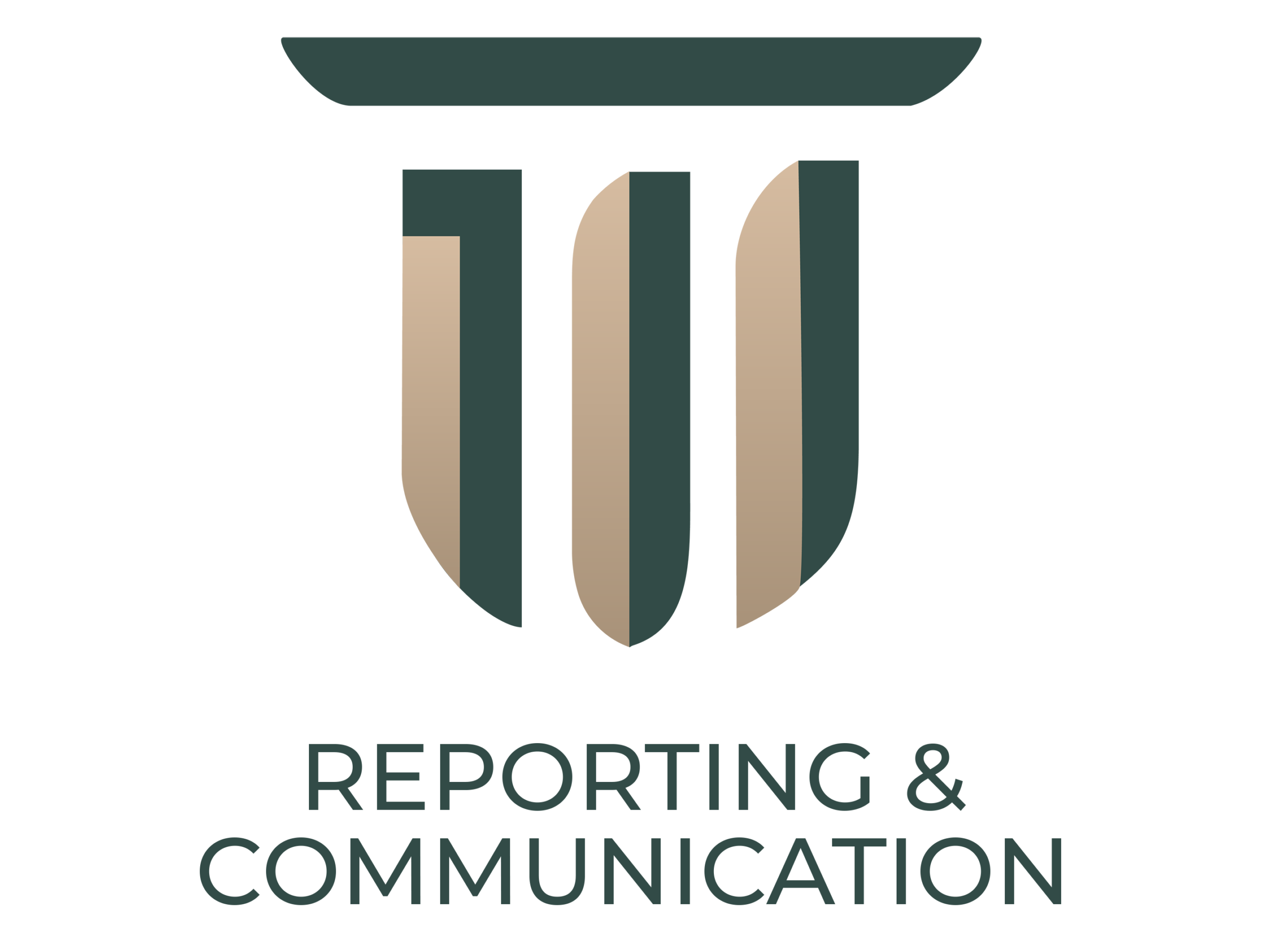 Tilleo Group - Step 4 - Reporting & Communication